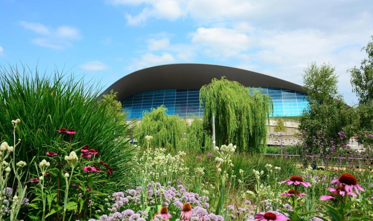 garden in front of a rink