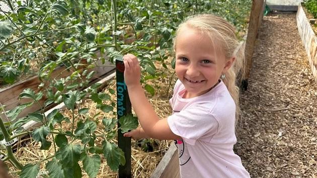 A smiling child holding on to a post in a raised garden with walkways.