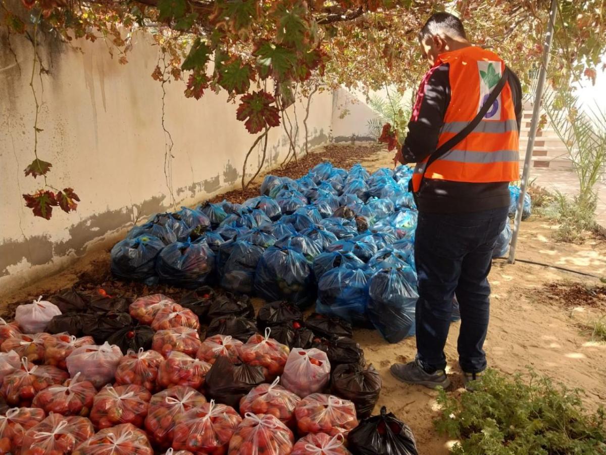 Action Against Hunger is working to provide fresh fruit and vegetables to families in Gaza.