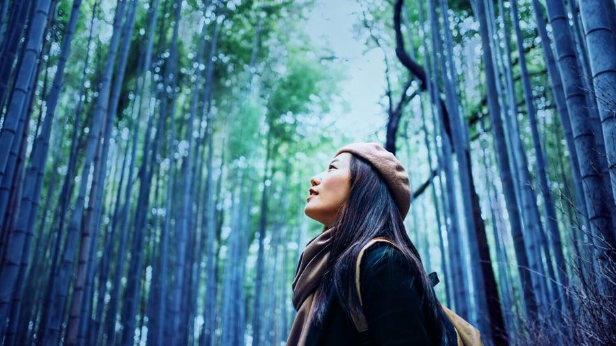 A person looking up in a densely forested area.