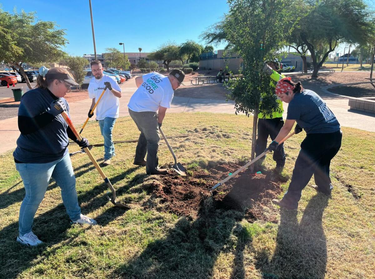 volunteers on GivingTuesday