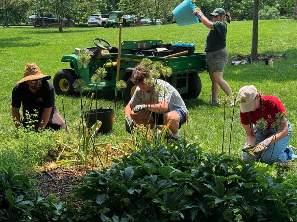 volunteers on GivingTuesday