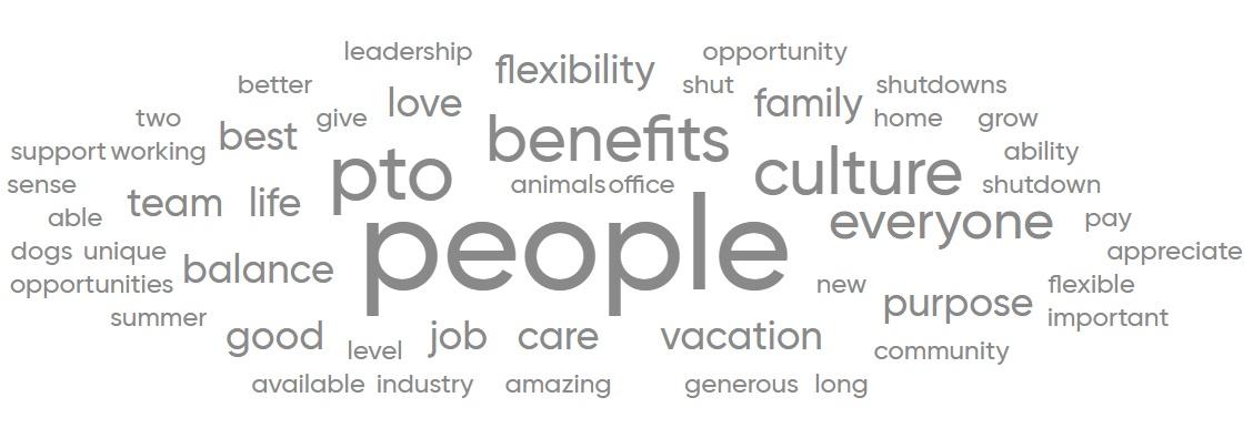 Words that employees used to describe Elanco as a great place to work