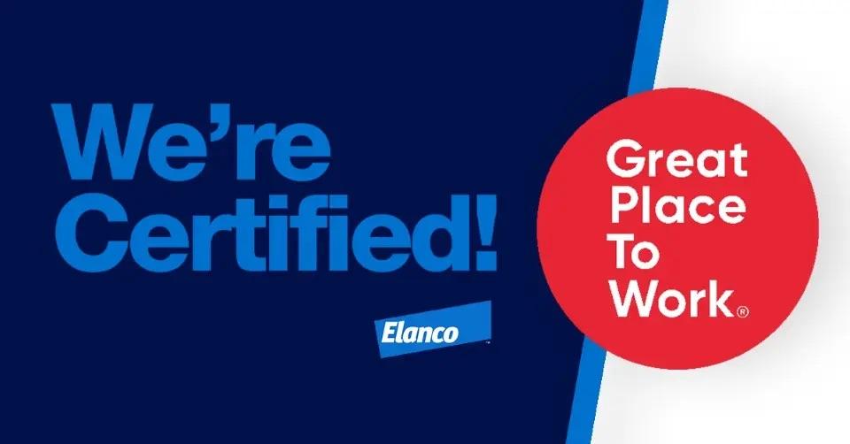 We're Certified! Great Place to Work.
