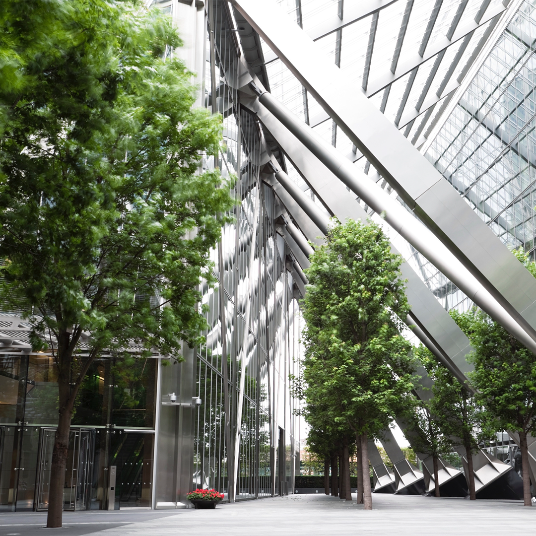 Trees growing inside a building with angular beams.