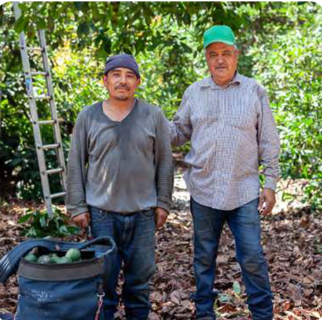 Two agriculture workers in an orchard