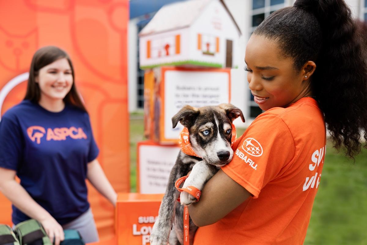 person holding a puppy
