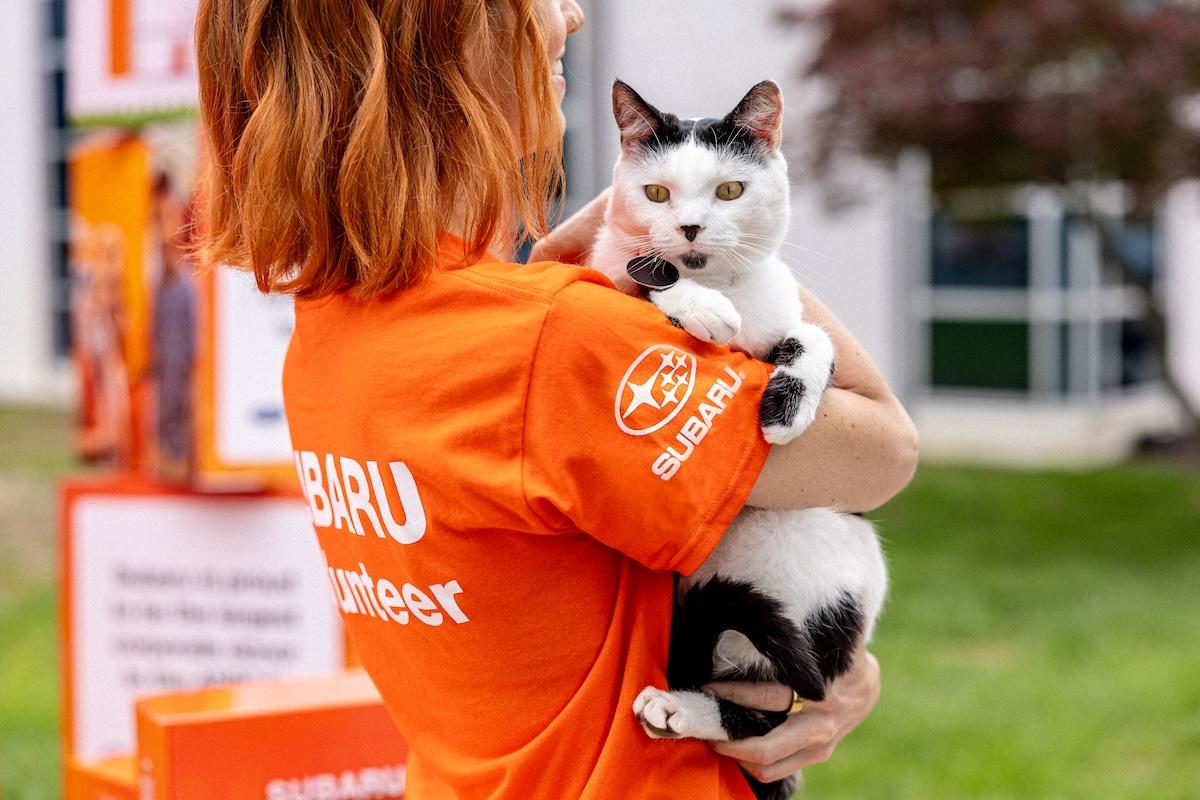person holding a pet cat