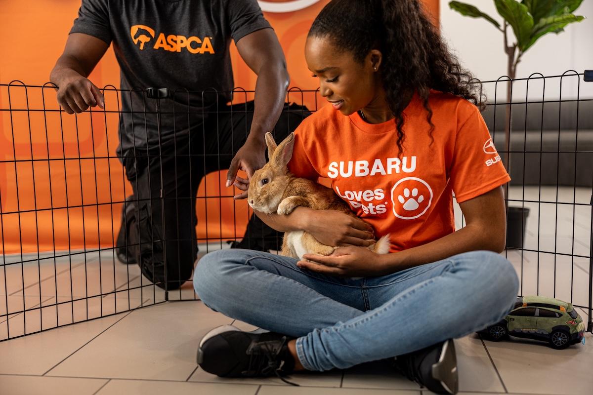person holding a pet rabbit