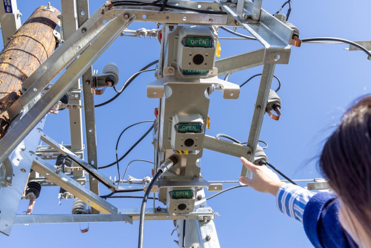 people working on a utility