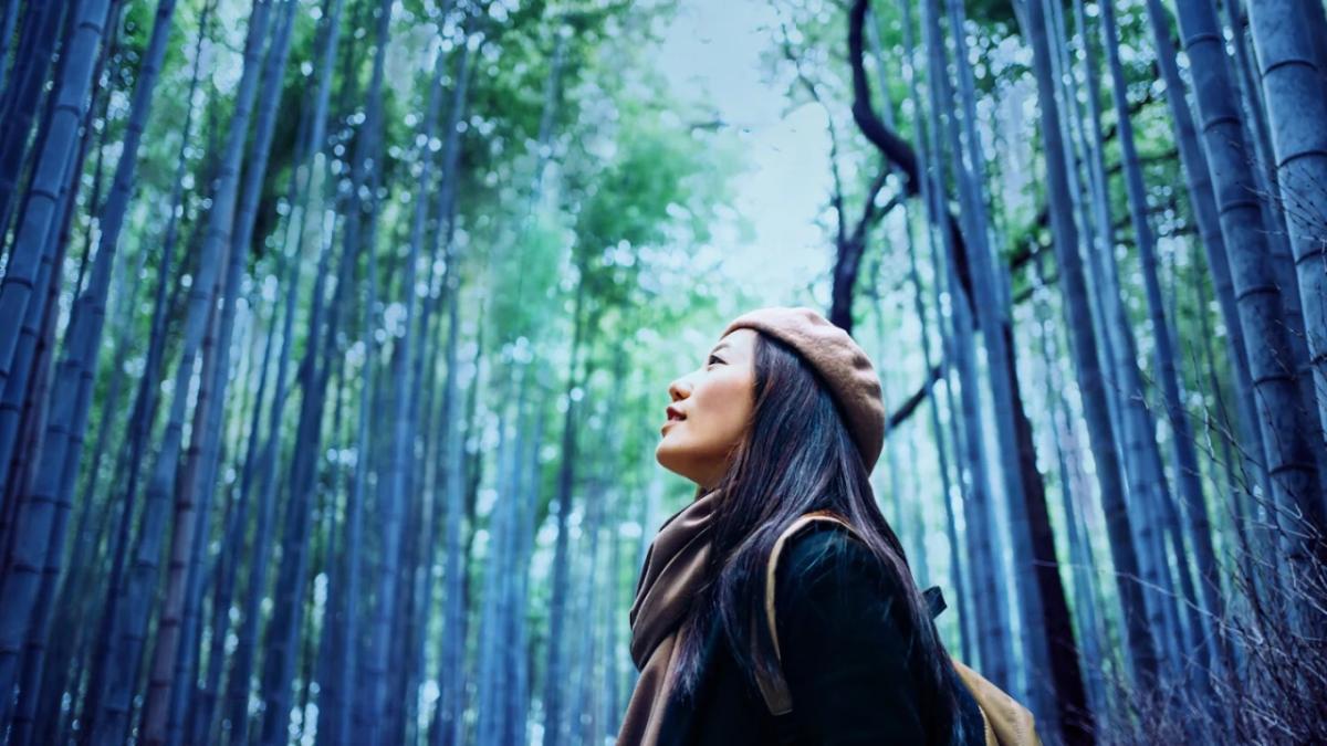 woman in a beret in a forest