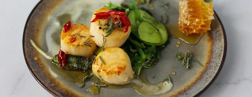Plate of scallops, greens and honey comb