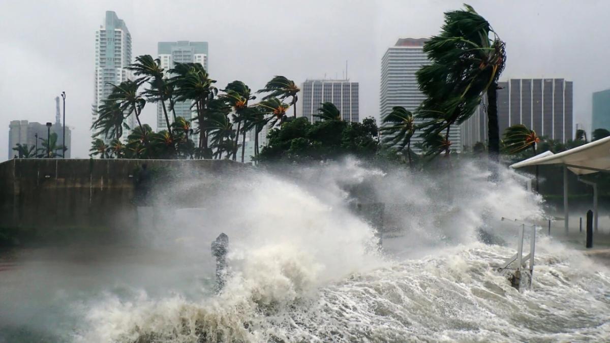 hurricane winds sending ocean waves into a city with palm trees