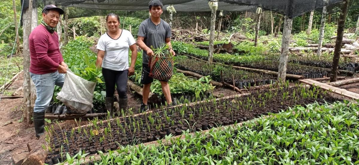 Three people standing between beds of sprouting plants. A black mesh cover over all of them.