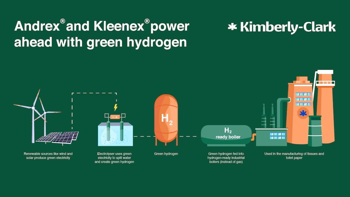 Andrex and Kleenex power ahead with green hydrogen infographic