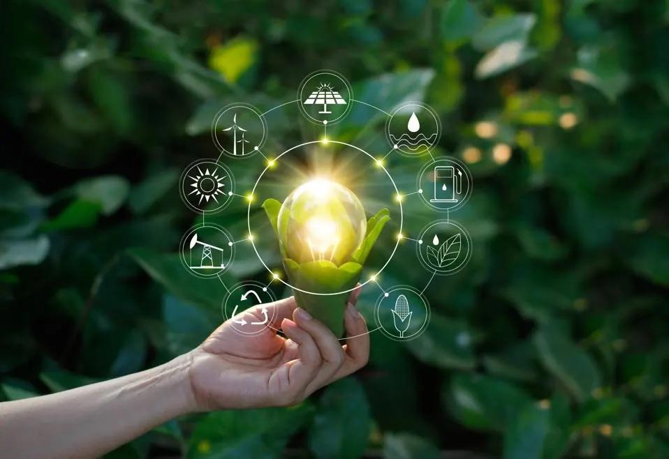 image of person holding a light with different aspects of sustainability revolving around it.