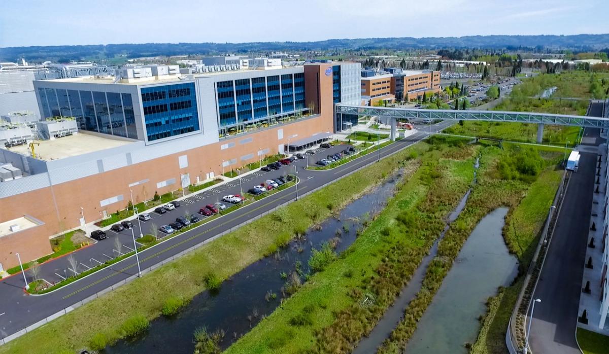 Intel’s Ronler Acres campus in Hillsboro, Oregon, is surrounded by both natural and man-made wetlands, which help control floodwater, filter storm water, and provide a natural habitat for plants and animals. (Credit: Walden Kirsch/Intel Corporation)