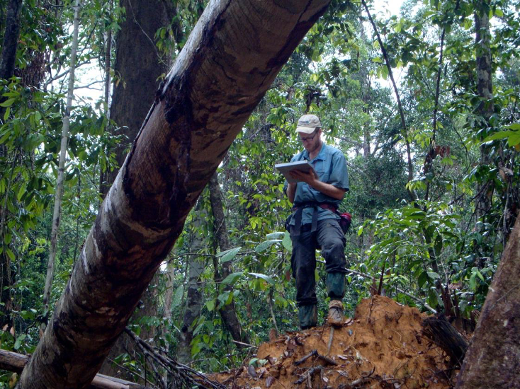 TNC Scientist, Peter Ellis, gathers information on logging impacts in Borneo as part of the development of a RIL-C module for Indonesia; Photo courtesy: Peter W. Ellis, The Nature Conservancy.