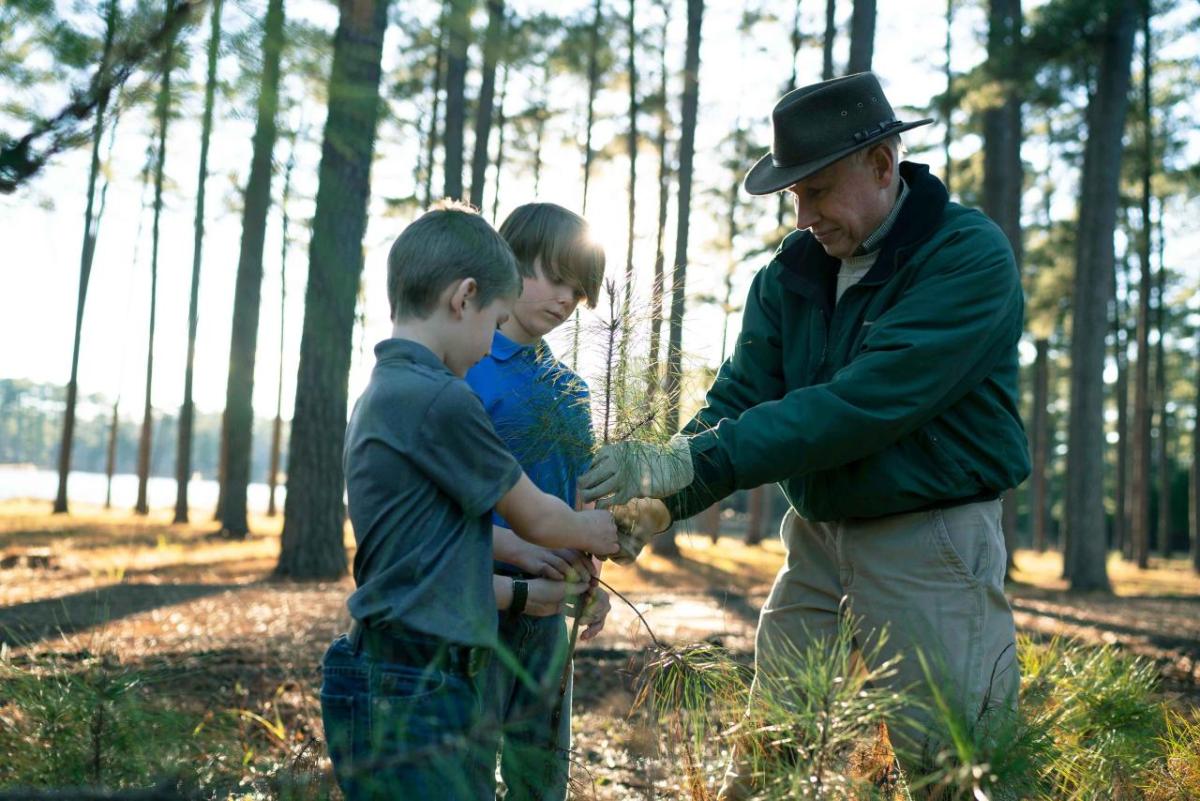 An adult and 2 children hold a tree branch together