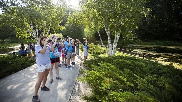 A row of students on a walkway using binoculars to find birds.