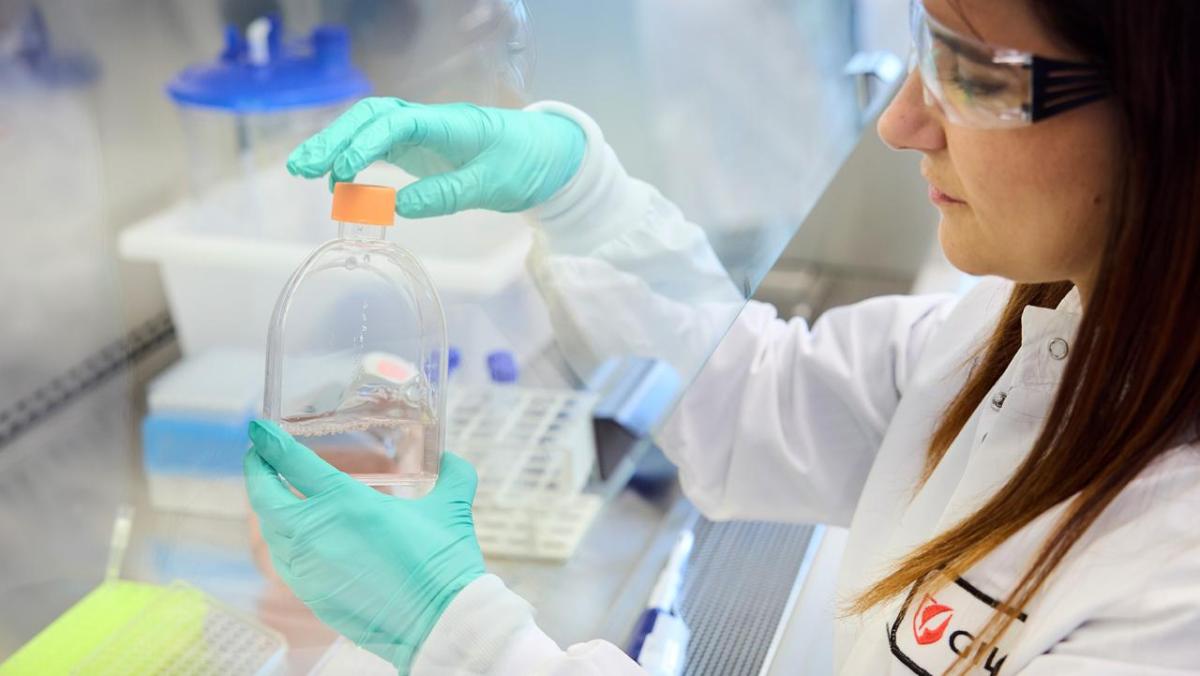 scientist working in a wet lab