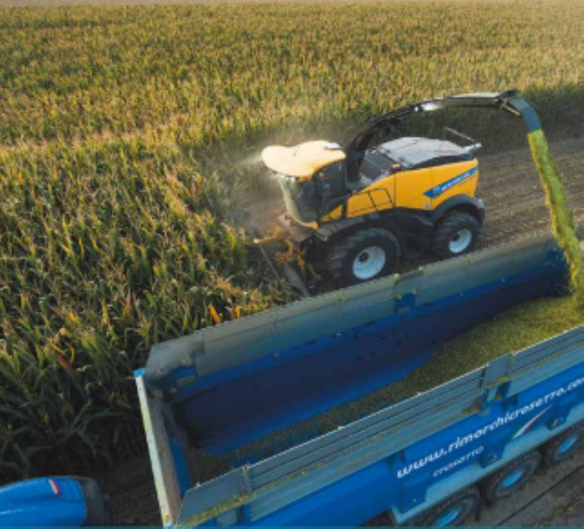 FR 650