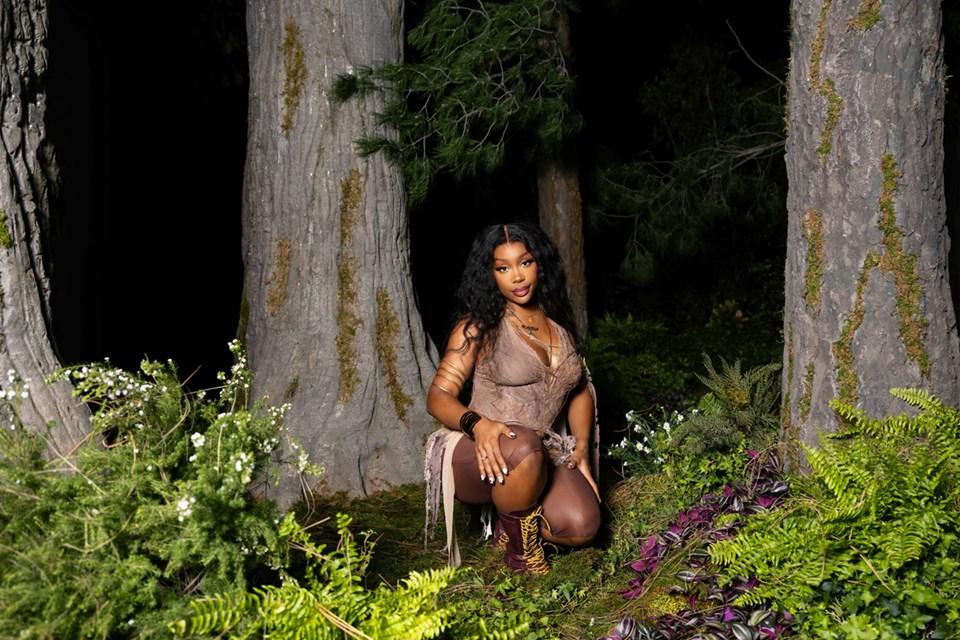 SZA in forest