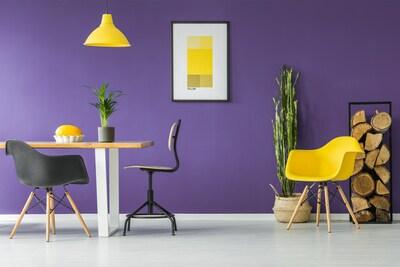 yellow, black, and white office furniture and house plants in front of a deep purple wall