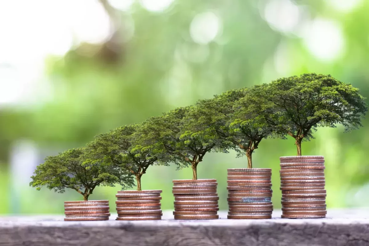 Image courtesy of Getty Images/iStockphoto Digital imagery of small trees growing out of stacks of coins.