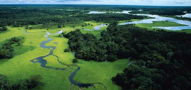 Image Credit: Michel Roggo/World Wildlife Fund