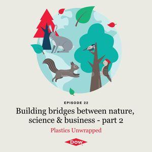 "Building bridges between nature, science & business - part 2" with image of forest