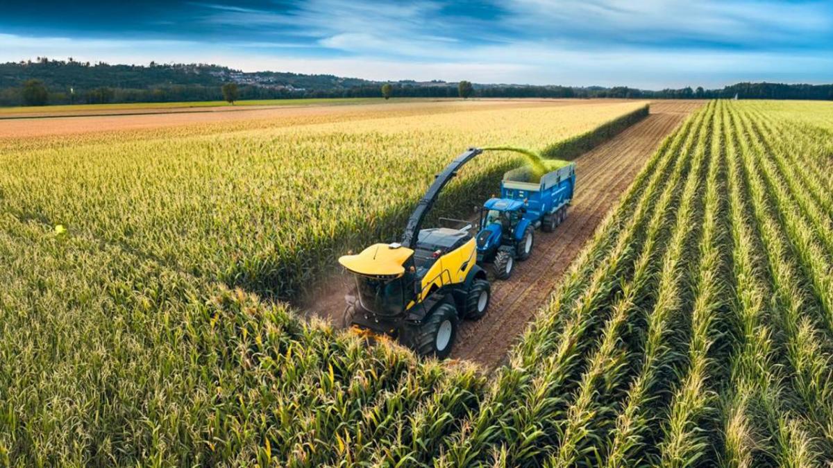 FR 650 harvester