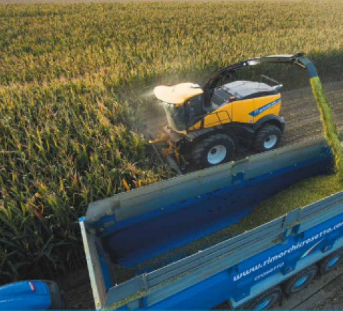 FR 650 harvester