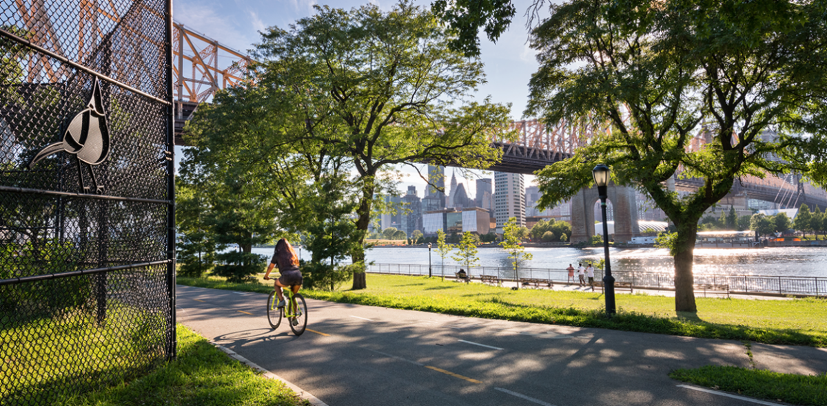 person cycling past trees and a bridge