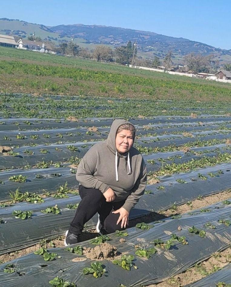 Farm worker next to rows in a field
