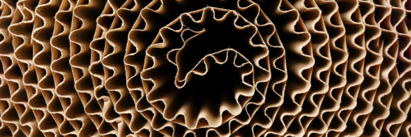 roll of cardboard