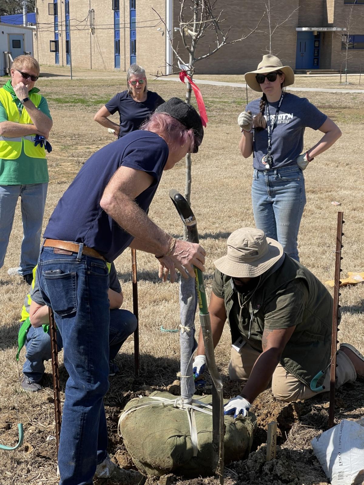 volunteers planting