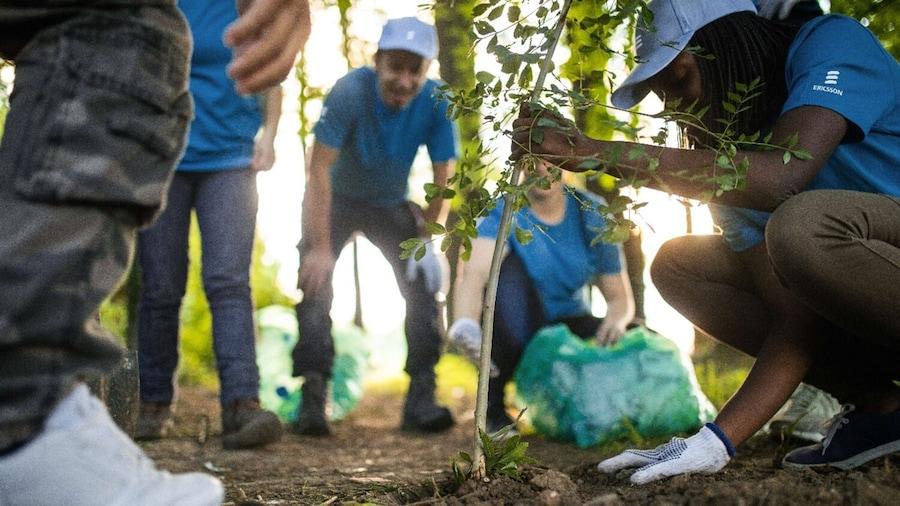 People planting a tree