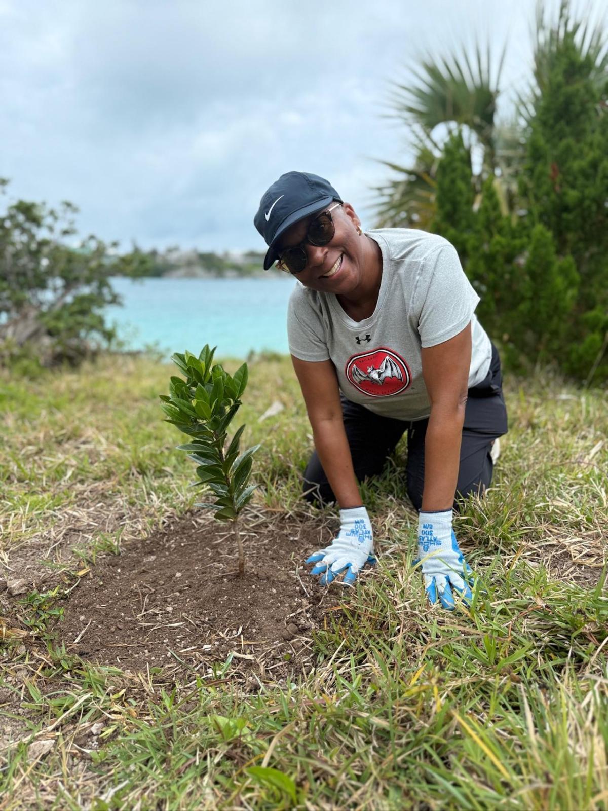 A person planting a tree