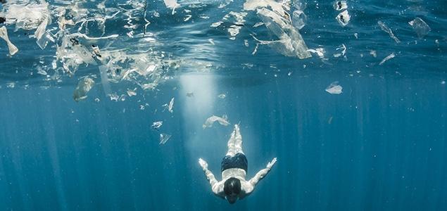 Image Credit: Lonely Whale