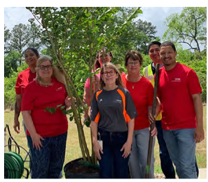 Volunteers in matching red shirts posed next to a tree in a container.