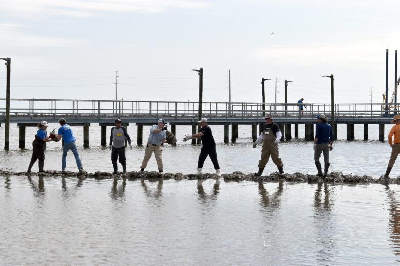 People helping to place sandbags