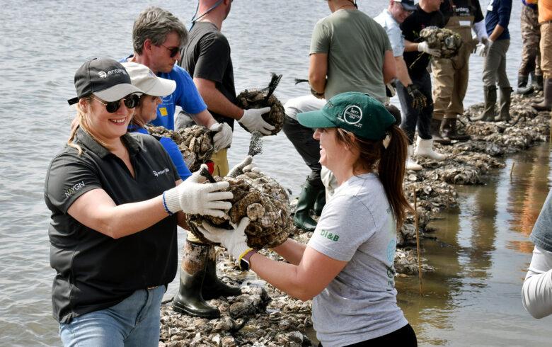 People helping each other to place water barriers