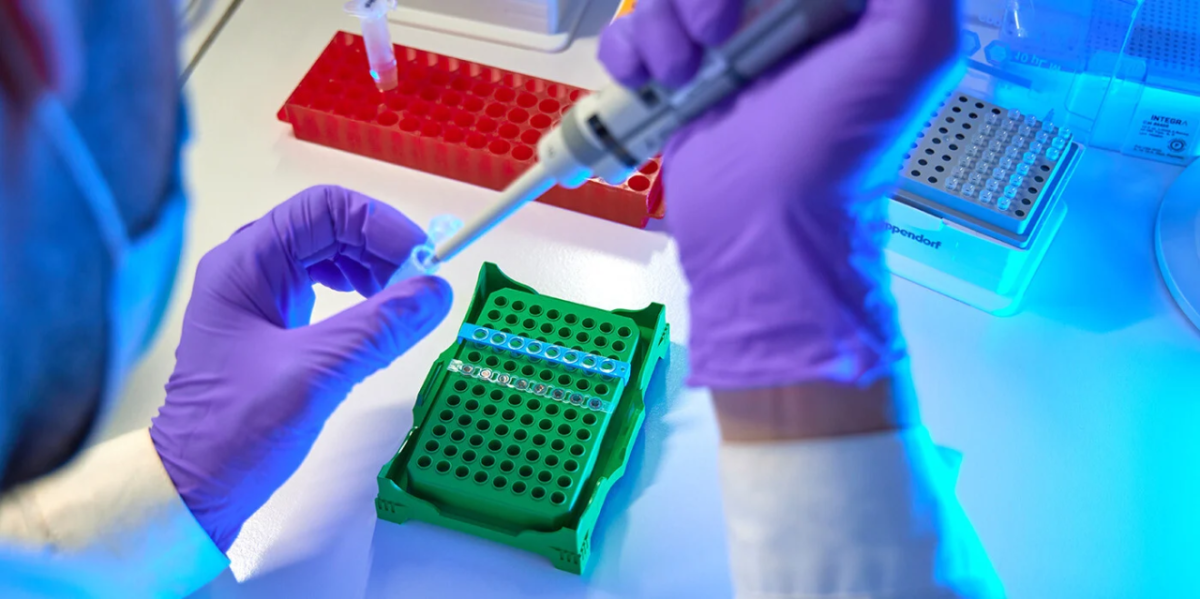 Gloved hands filling a test tube