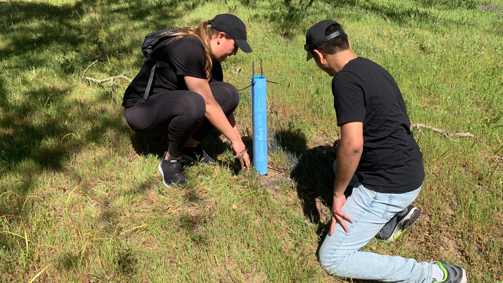 two people knelt by a sapling