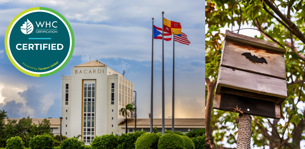 Collage of Bacardi building and a bat house, with "WHC CERTIFIED" logo