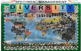 A large quilt of a world map and faces pinned to certain places. "Diversity" sign above and "Accomplishment has no color" at the bottom.