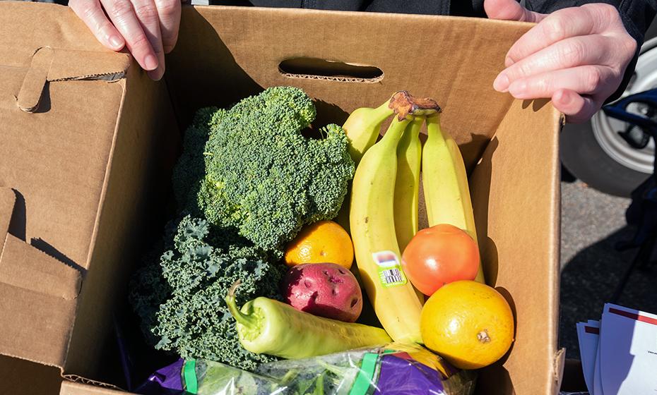 Fresh vegetables in a Mill Village Farms Foodshare box.
