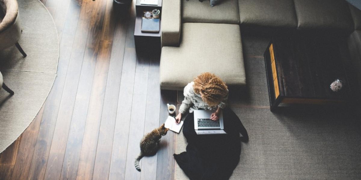 Person working from home with their cat