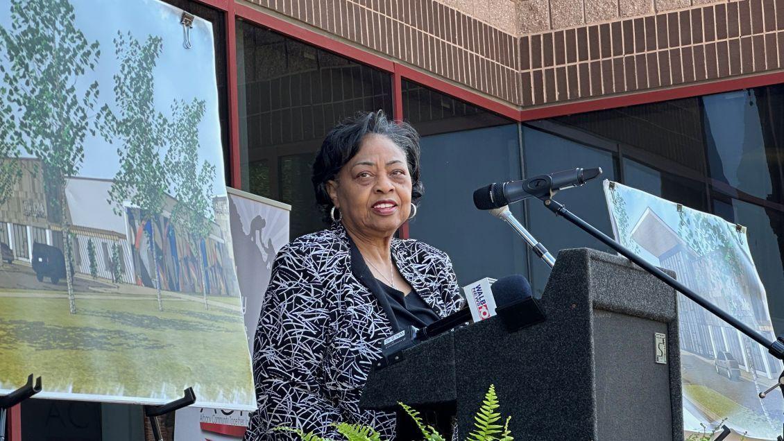 Shirley Sherrod, co-founder of New Communities, the country’s first collective land trust, creating a safe haven and a position of power for Black farmers removed from their land. Women standing and speaking at a podium